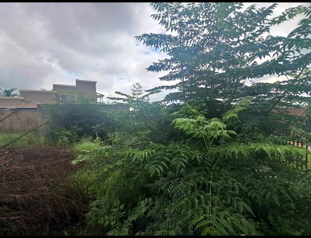 LAND FOR SALE IN HEUWELOORD